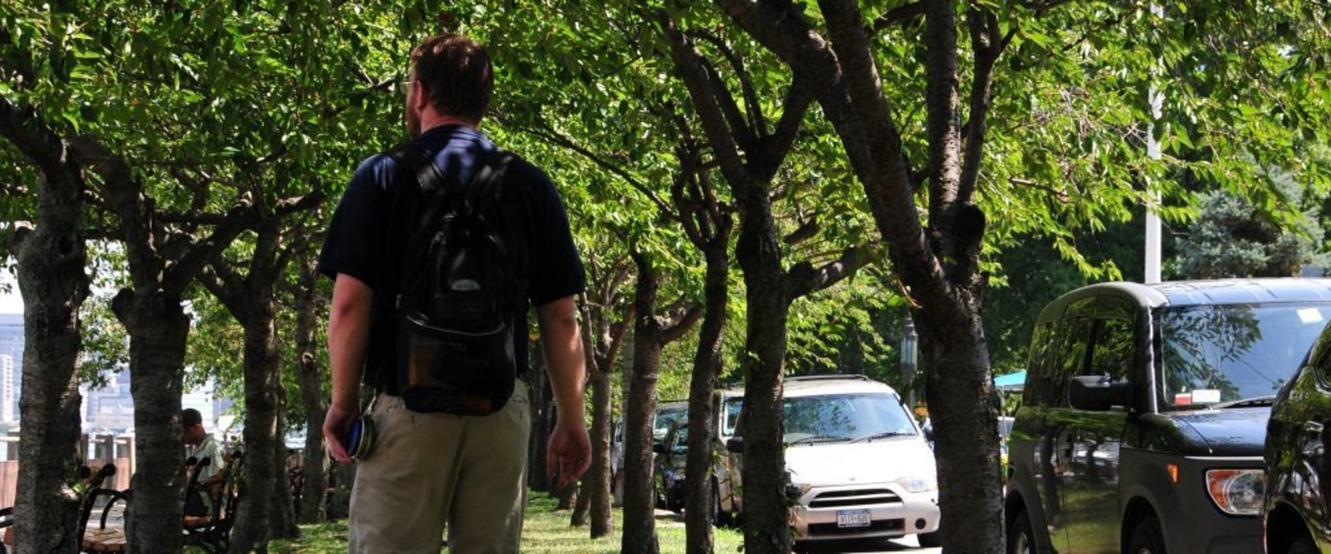 Assessing the Risks of Tree Cutting