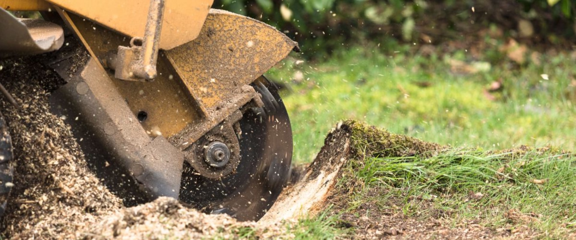 Stump Grinding and Removal