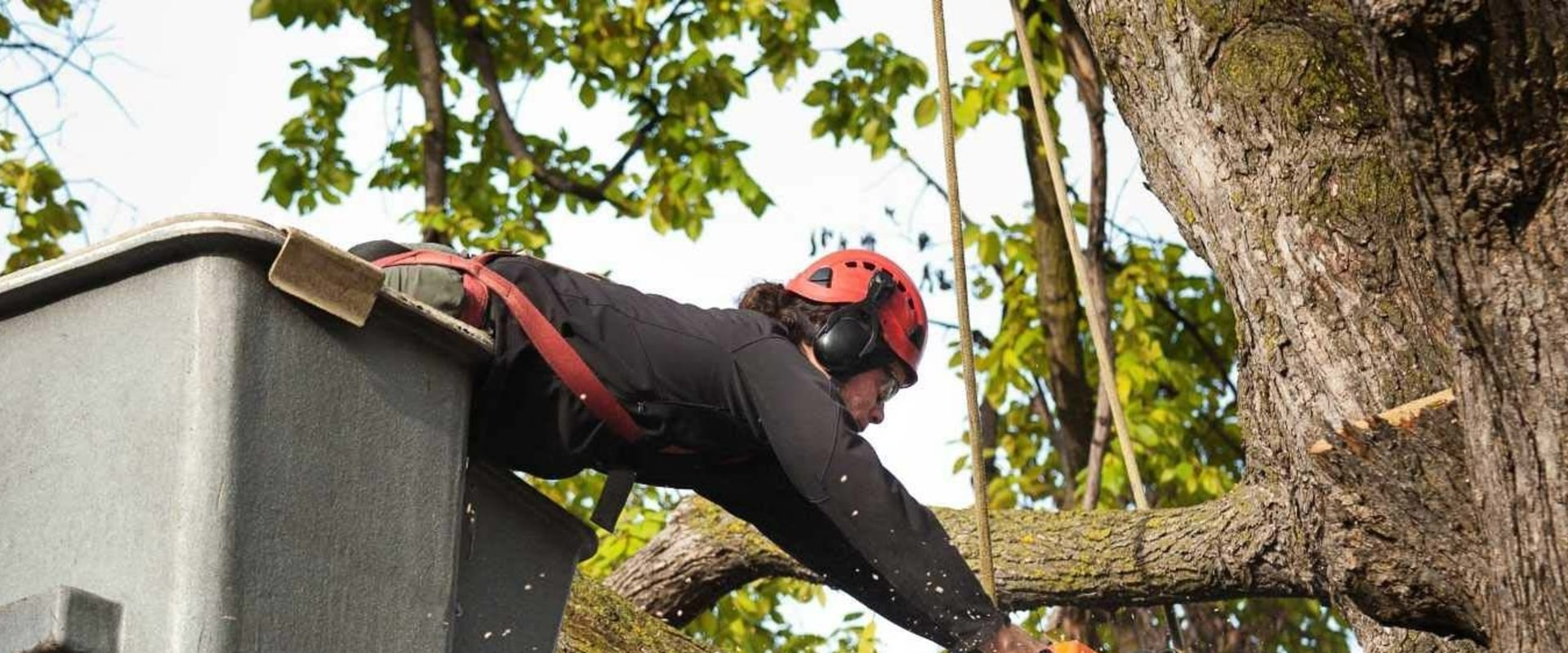 Average Cost of Tree Pruning