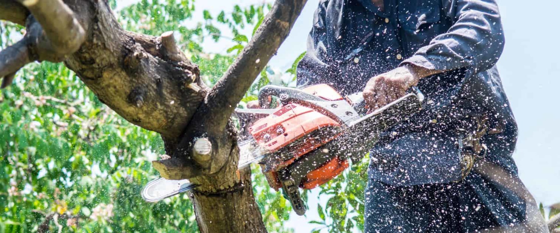 Removing Branches and Logs: A Comprehensive Guide