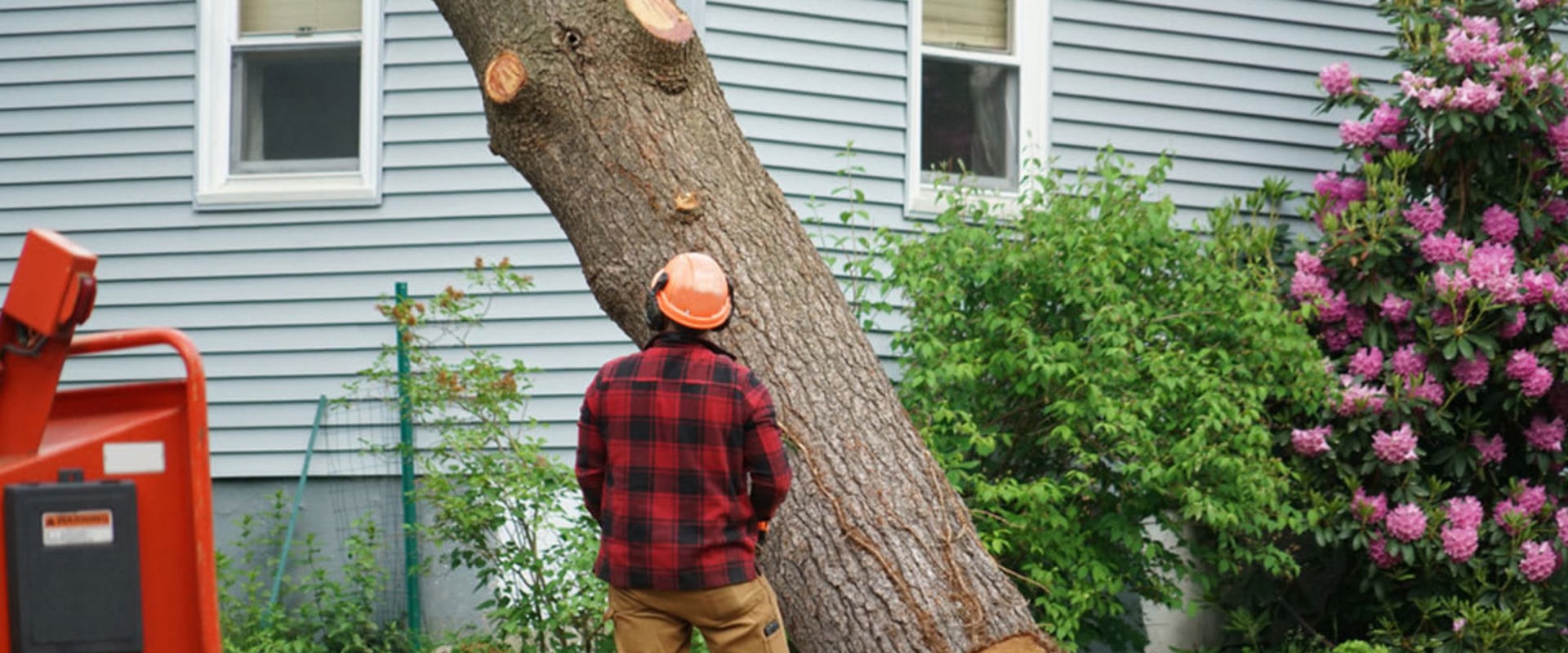 Average Cost of Tree Cutting
