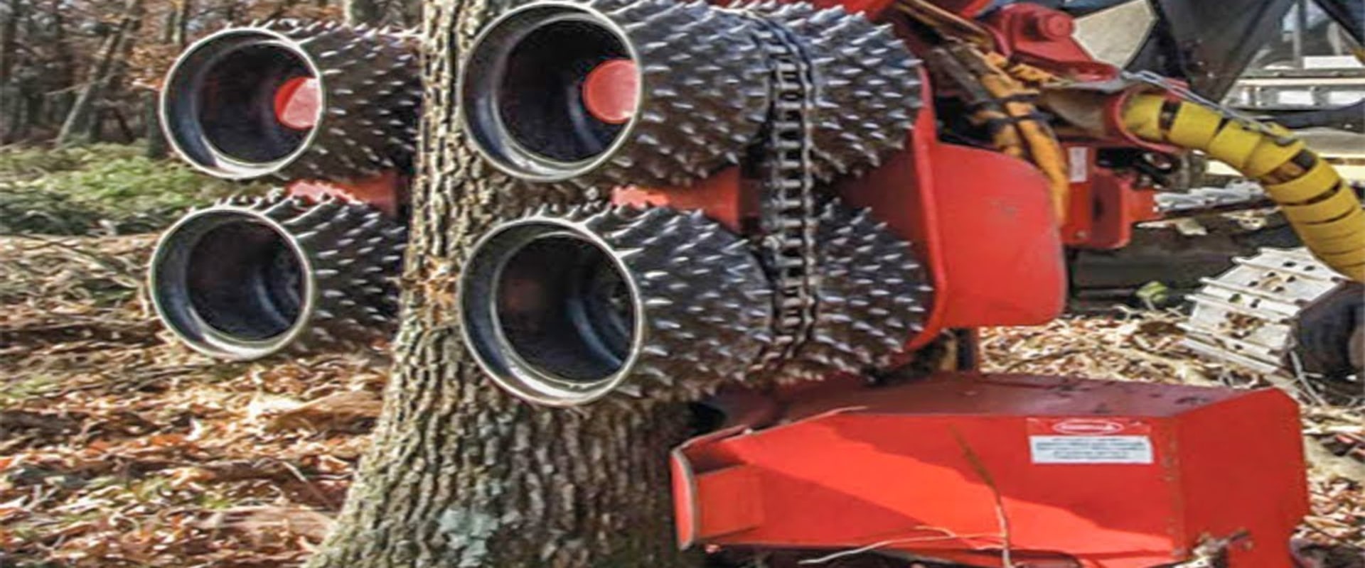 Selecting the Right Equipment for Tree Removal