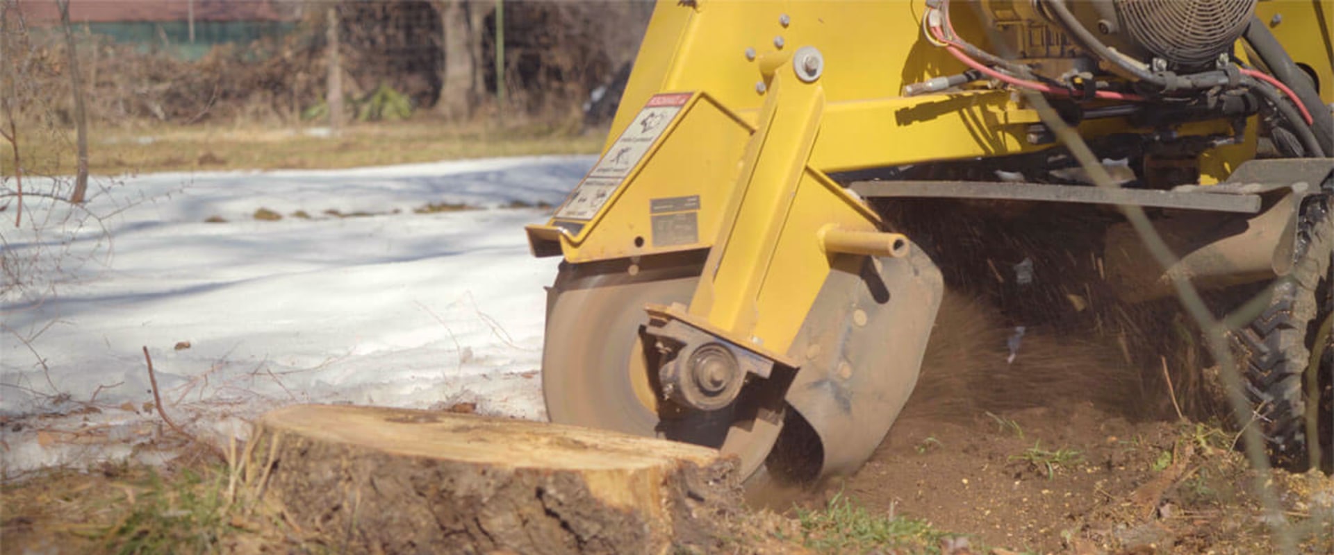 Stump Grinders and Chippers: Understanding Equipment for Stump Grinding and Removal Services