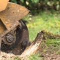 Stump Grinding and Removal