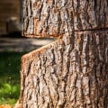 Factors Affecting Tree Cutting Costs