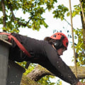 Average Cost of Tree Pruning