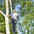 The Average Cost of Tree Trimming