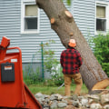 Average Cost of Tree Cutting
