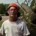 Personal Protective Equipment (PPE) for Tree Cutting