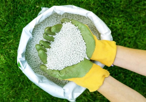 Fertilizing Trees: A Comprehensive Overview