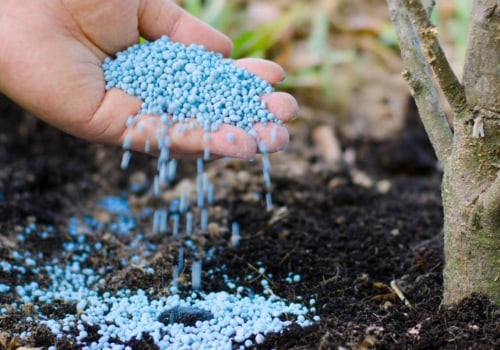 Organic Fertilizers for Tree Care and Maintenance