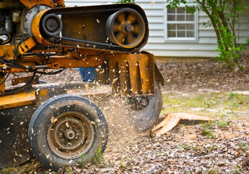 Tips for Reducing Stump Grinding and Removal Costs