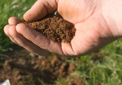 Understanding Soil pH Levels and Nutrients
