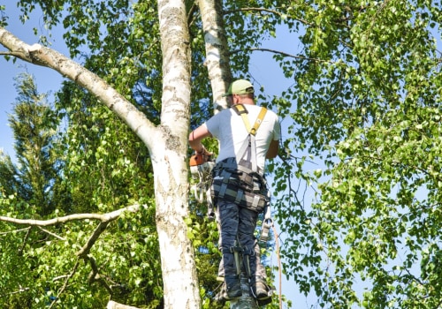 The Average Cost of Tree Trimming