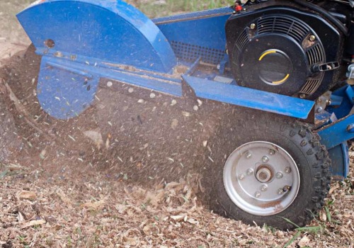 The Average Cost of Stump Grinding and Removal