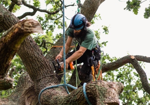 Tree Cutting - An Overview