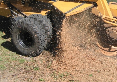 Cost of Stump Grinding and Removal